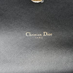 Supple Calfskin Caro Belt Bag Black