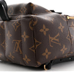 Monogram Palm Springs Backpack Mini