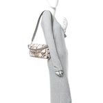 Canvas Vitello Seta FF Multicolor Embroidered Baguette Grezzo Multicolor Tortora