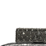 Stingray Degrade Frame Clutch Silver