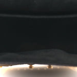 Reverse Monogram Camera Box NM