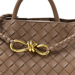 Nappa Intrecciato Small Andiamo Shoulder Bag Pinecone