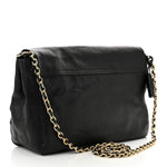 Shiny Buffalo Lily Black