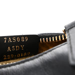 Vitello Grace Matte Nano Fendigraphy Hobo Charm Black