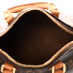 Monogram Nano Speedy