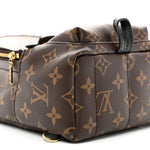 Monogram Palm Springs Backpack Mini