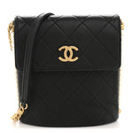Calfskin Quilted Pearl Small About Pearls Hobo Bag Black