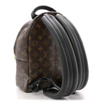 Monogram Palm Springs Backpack PM