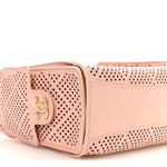 Perforated Calfskin Quilted Mini Chanel 25 Handbag Light Pink