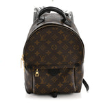 Monogram Palm Springs Backpack PM
