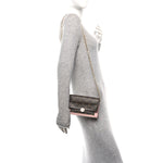 Monogram Flore Chain Wallet Rose Ballerine