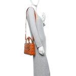 Lambskin Cannage Small Lucky Badges My Lady Dior Orange