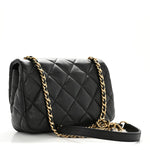 Lambskin Quilted Mini Flap Black