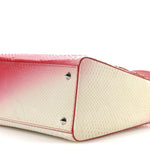 Snakeskin Ombre Medium Lady Dior Red White