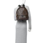 Monogram Palm Springs Backpack MM