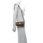 Monogram Papillon Trunk