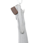 Damier Ebene Navona Pochette Accessories