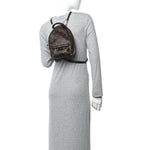 Monogram Palm Springs Backpack Mini