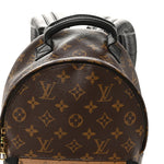 Reverse Monogram Palm Springs Backpack PM