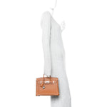 Togo Birkin 25 Gold