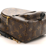 Monogram Palm Springs Backpack Mini