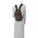 Monogram Palm Springs Backpack PM
