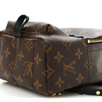 Monogram Palm Springs Backpack Mini