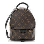 Monogram Palm Springs Backpack Mini