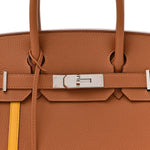 Togo Swift Officier Birkin 30 Gold Ambre