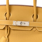 Togo Birkin 30 Curry