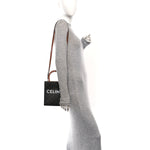 Triomphe Canvas Calfskin Mini Vertical Cabas Tan