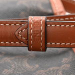 Canvas Calfskin Triomphe Mini Besace Tan