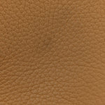 Taurillon Clemence Evelyne TPM Biscuit