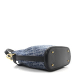 Denim Jacquard Oblique C'est Dior Bucket Bag Blue