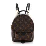 Monogram Palm Springs Backpack Mini