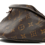 Monogram Bumbag