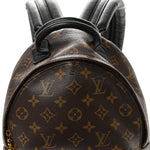 Reverse Monogram Palm Springs Backpack PM