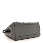 Ostrich Shiny Nappa Mini Peekaboo Iconic Satchel Grey