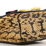 Snakeskin Mini Sylvie Chain Shoulder Bag Roccia