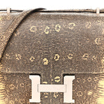 Lizard Constance 18 Ombre