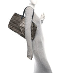 Goyardine Saint Louis PM Black