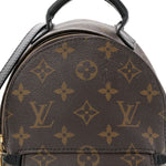 Monogram Palm Springs Backpack Mini