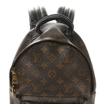 Monogram Palm Springs Backpack PM