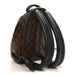 Monogram Palm Springs Backpack PM