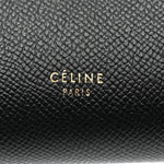 Grained Calfskin Nano Belt Bag Black