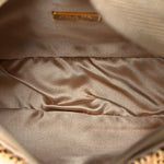 Satin Crystal Mini Re-Edition 2000 Bag Platino
