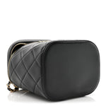 Lambskin Quilted Trendy Vanity Case Black