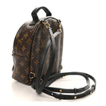Monogram Palm Springs Backpack Mini