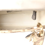 Lizard Ombre Mini Lady Dior