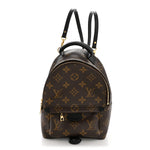 Monogram Palm Springs Backpack Mini
